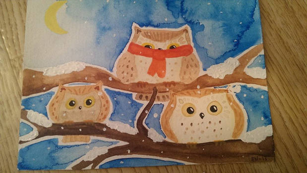 Winter Owls