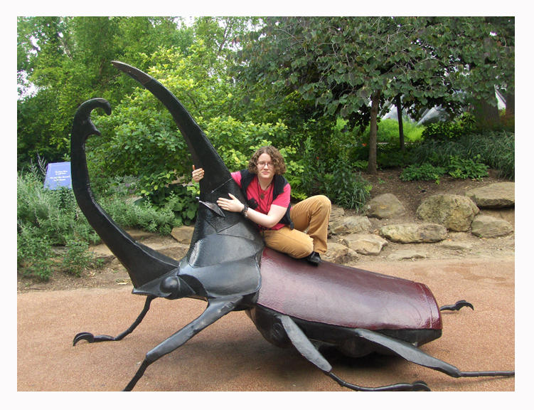 Riding a Giant stag Beetle by ApocalypticReignbow on DeviantArt