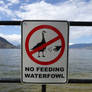 No Feeding Waterfowl