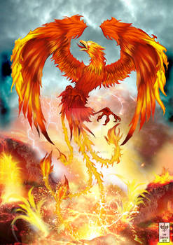 The legend of the Fenix