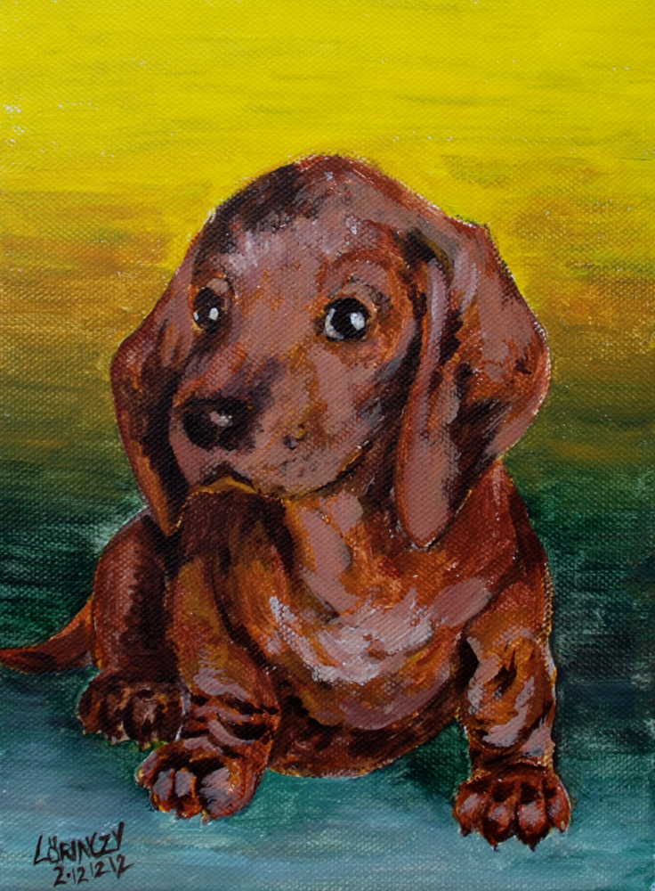 Dachshund (on a special day)