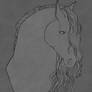 |horse| portrait - yhh | transp.backg