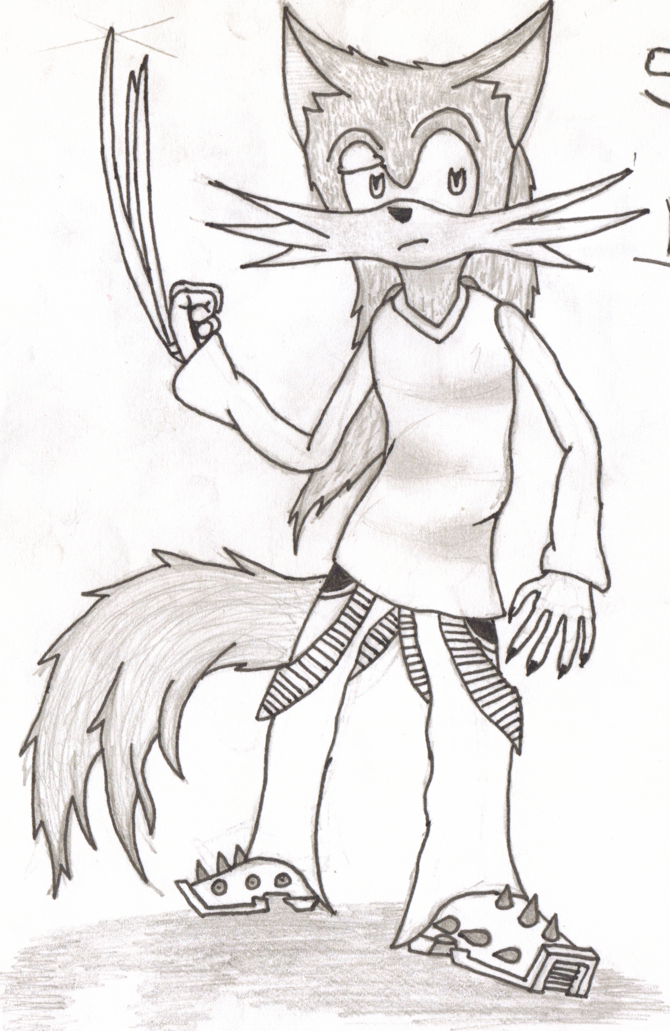 Sonic OC: Sirocco the Wolf