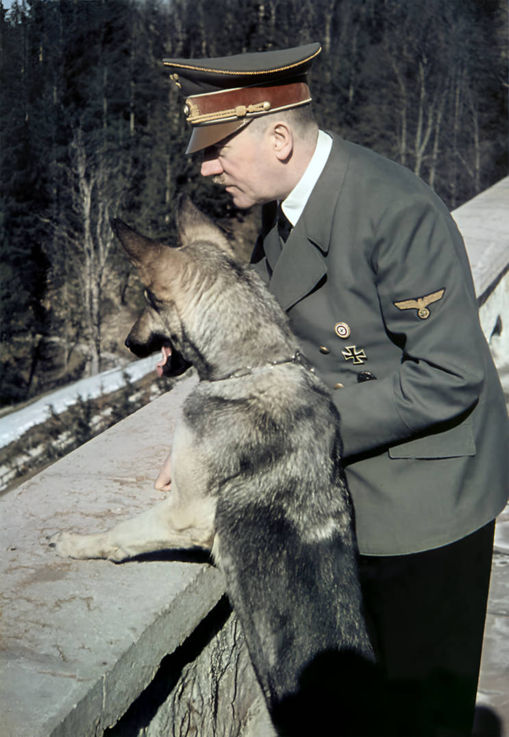 Restored photo Hitler and Blondi, 1942. by hericsenaalmeid on DeviantArt
