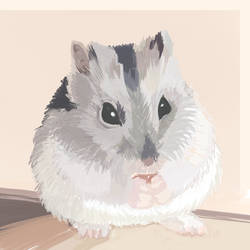 Wasja, the hamster