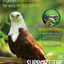 Philippine Eagle print ad