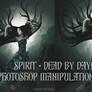 Spirit Dead By Daylight Photoshop Manipulation