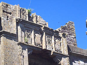 Raglan Castle - detail