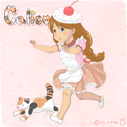 Calico Main Character and Pudgems