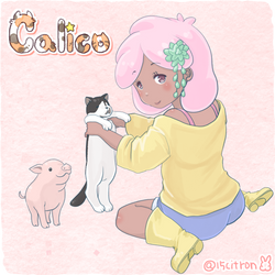 Calico  Kai and cat.