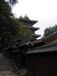 hidden pagoda behind trees