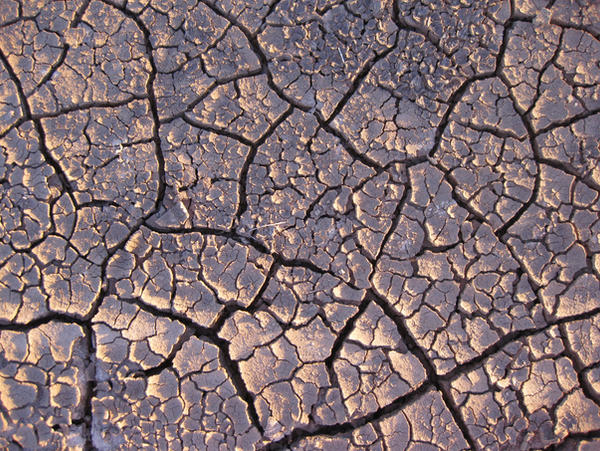 dry ground