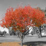 Seasons Still Pass...