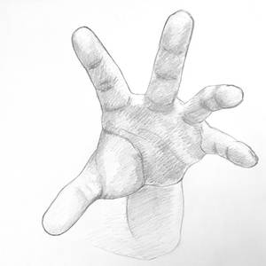 Hand study 8