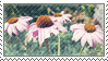 Pink Flower Stamp