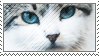 Blue Eyed Cat Stamp