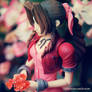 Aerith 015