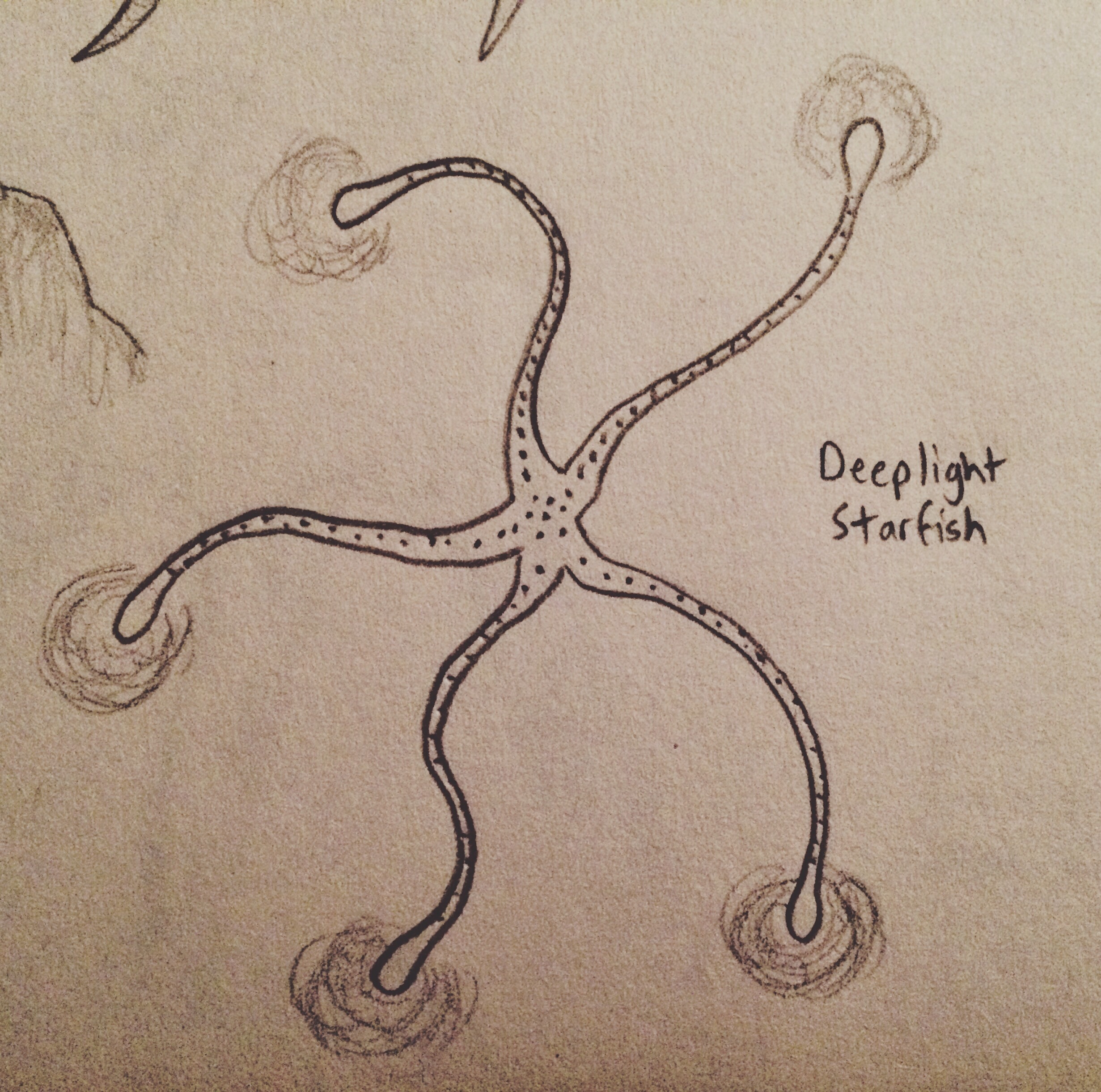Deeplight Starfish