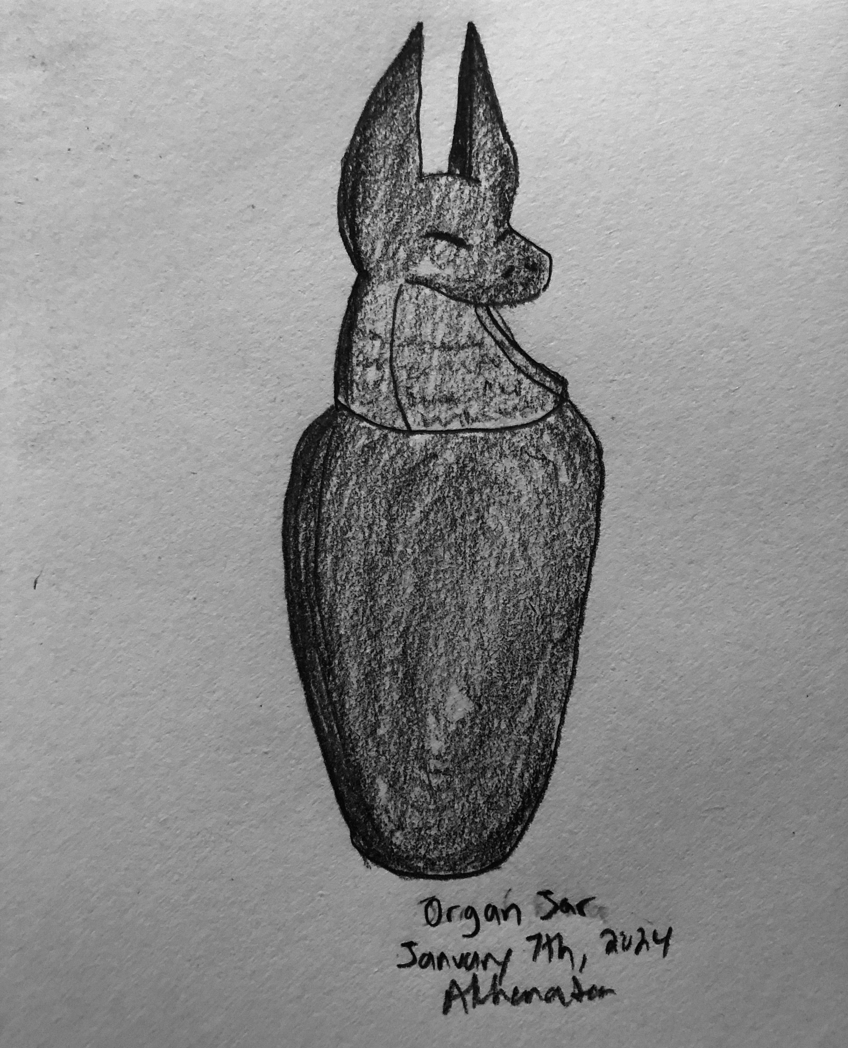 Organ Jar