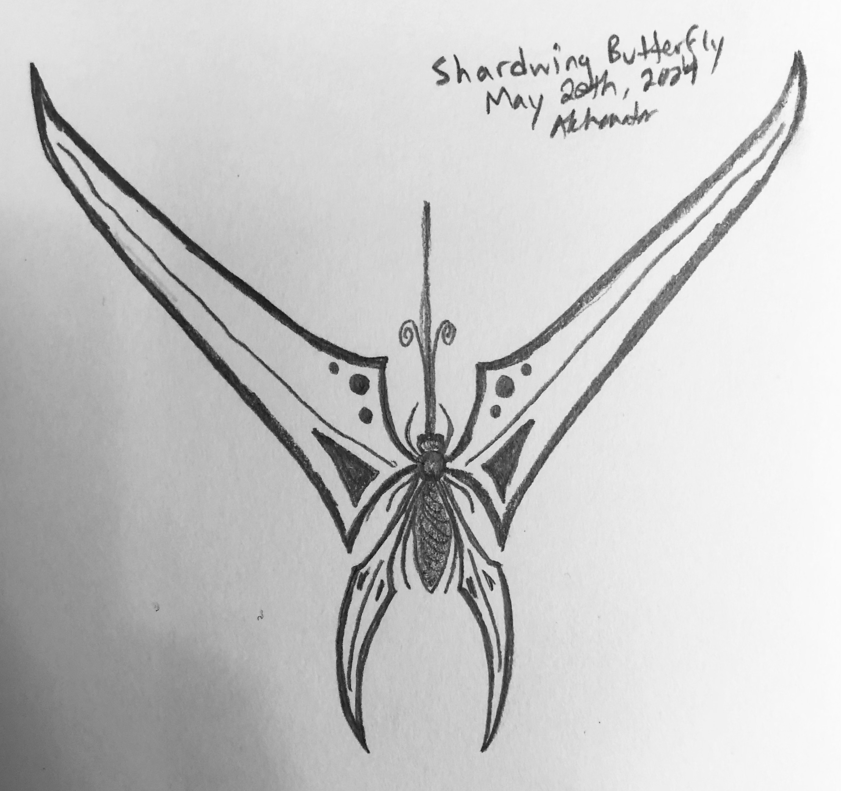 Shardwing Butterfly