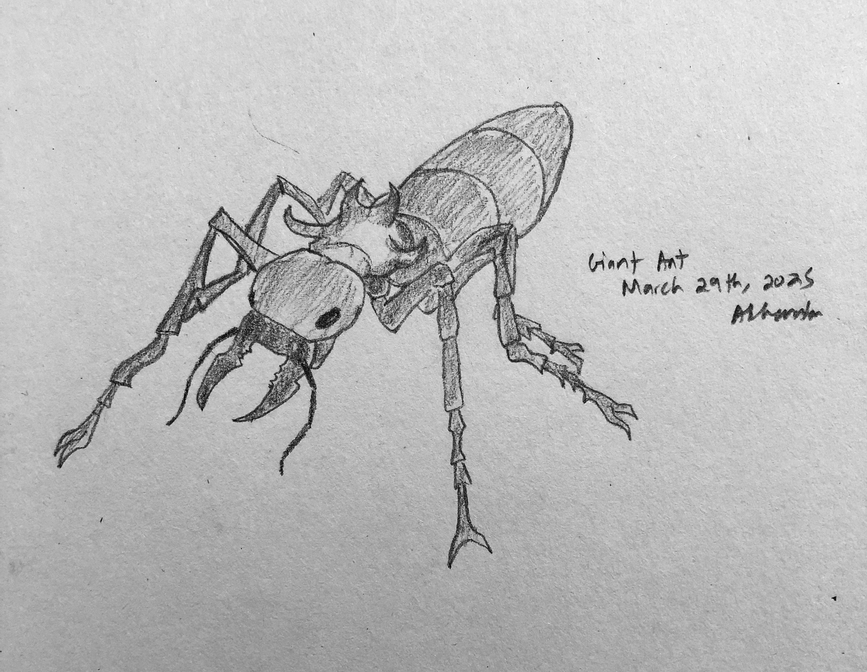 Giant Ant