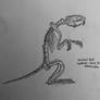 Skeletal Rat