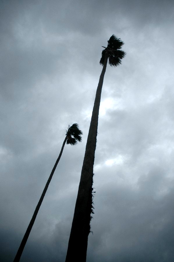 windy day