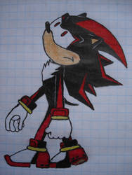 Shadow the hedgehog