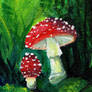 Amanita muscaria