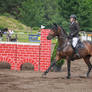 Jumping Stock 008 Canter