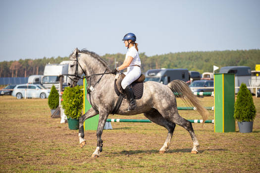 Horse Stock 092