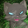 .:Jayfeather:.