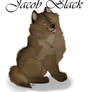 Jacob Black Puppy