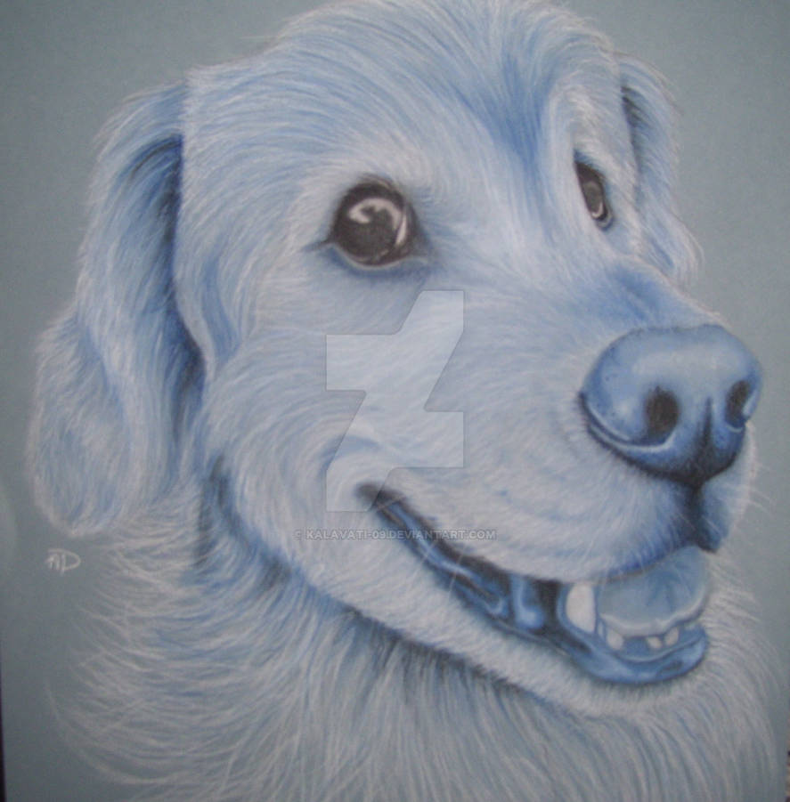 Riley drawing by Kalavati-09 on DeviantArt