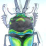 Colorful Beetle!