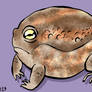 7- Desert Rain Frog
