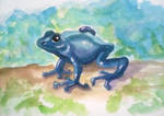 Poison Dart Frog Watercolor Painting by Jacy13