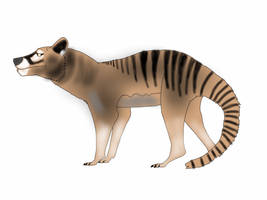 THYLACINE