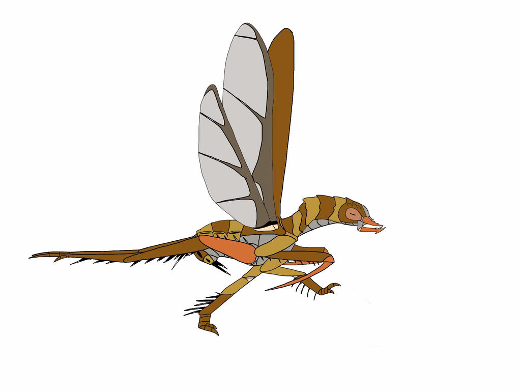 Meg As An Insect MEGOPTERAN by HUBLERDON on DeviantArt