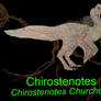 DINOWORLD: CHIROSTENOTES