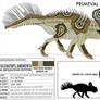 PA: PROTOCERATOPS