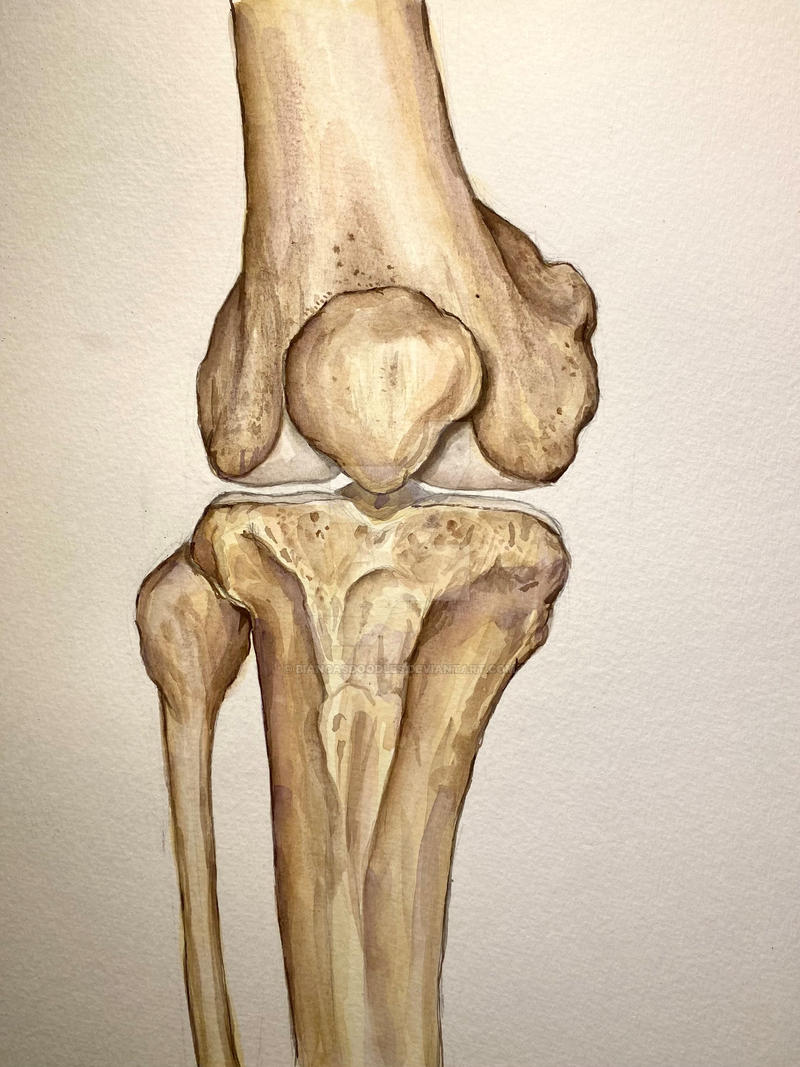 Deviantart Knees The Knee by Biancasdoodles on DeviantArt