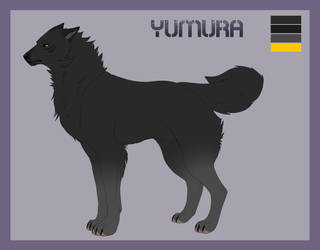 Yumura Reference 2014