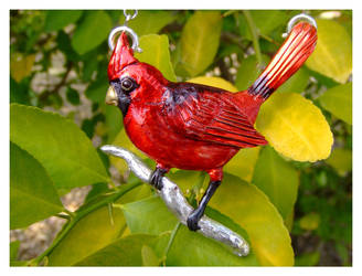 Cardinal