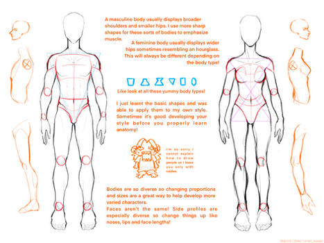 Human Anatomy | 500 WATCHERS TUTORIAL