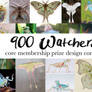 900 WATCHERS DESIGN CONTEST | OPEN
