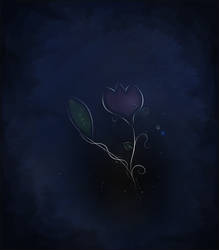 Nightflower