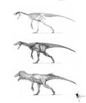 Herrerasaurus Diagram