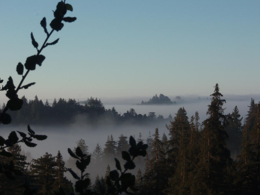 Ben Lomond's Beauty by Mad-Twatter