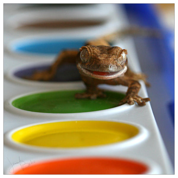 Paintgator by CatharsisJB